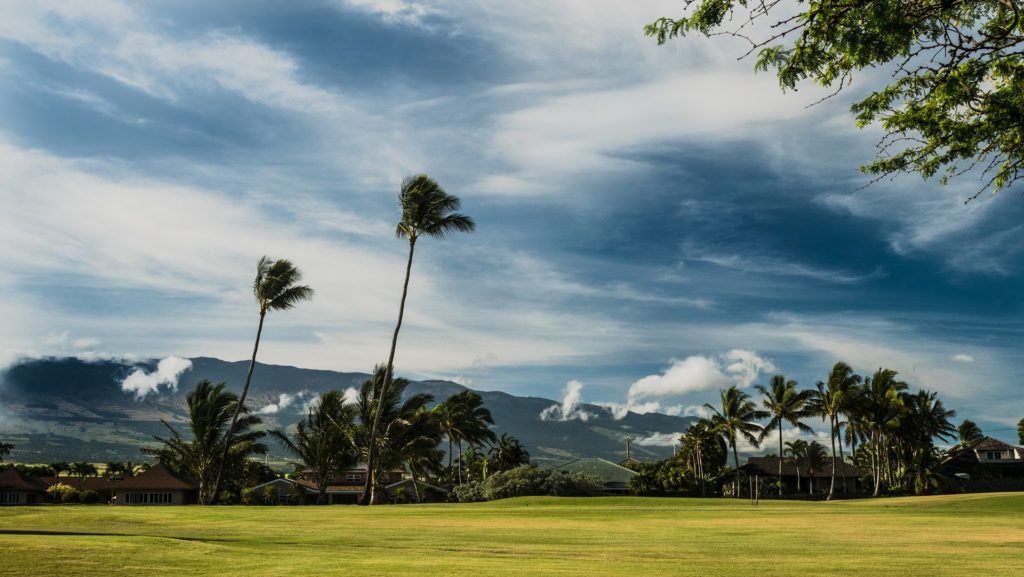 Maui Digital Marketing and How to Stick Out